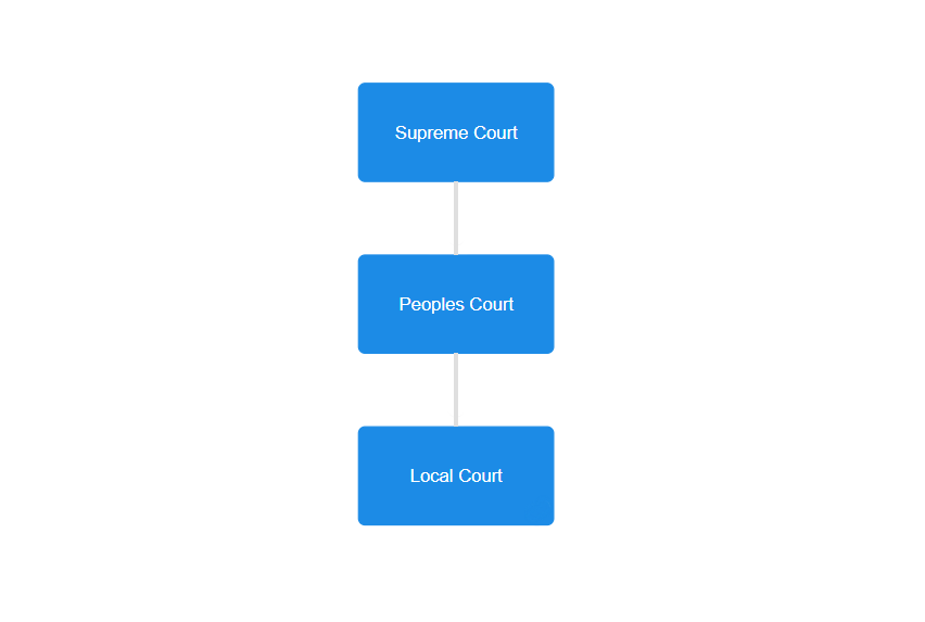 Court System